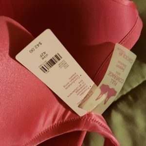 Cacique 42F pink underwire bra NWT